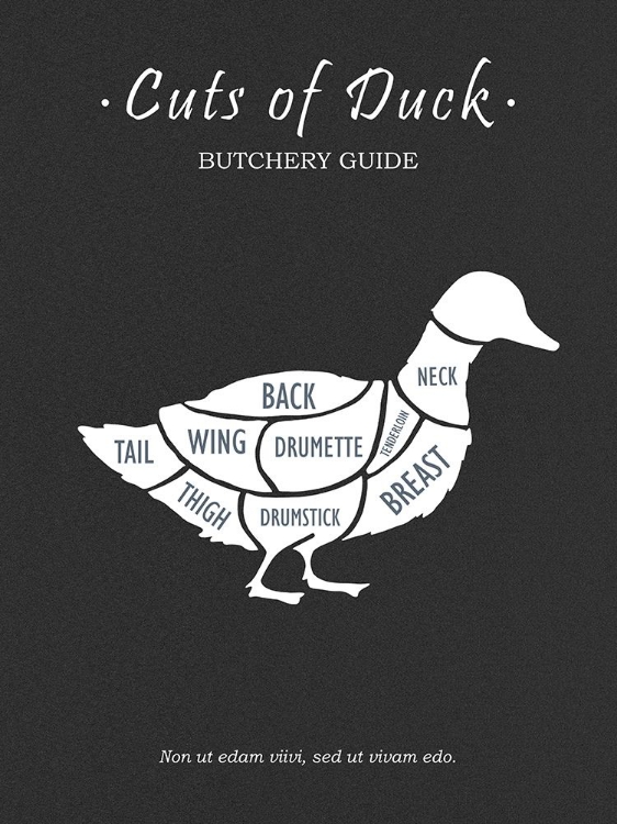 Picture of  BUTCHERY DUCK