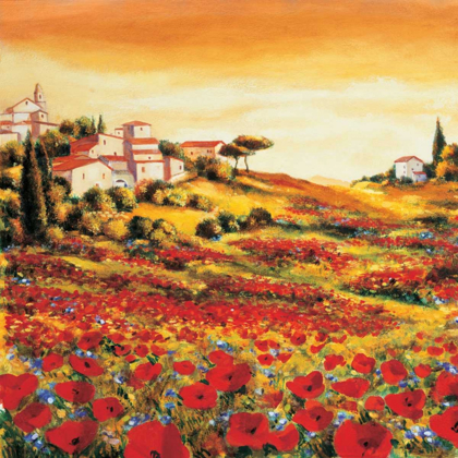Picture of VALLEY OF POPPIES