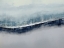 Picture of FLOWING GRAY