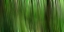 Picture of TREE MOTION