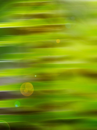 Picture of ABSTRACT GREEN FLORA
