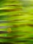 Picture of ABSTRACT GREEN FLORA