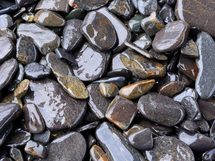 Picture of BEACH ROCK DETAIL