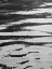 Picture of WATER RIPPLE