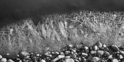 Picture of FROZEN RIVERS EDGE