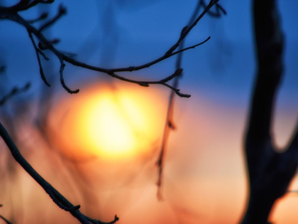 Picture of ABSTRACT SUNSET