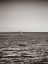 Picture of USA, SEATTLE, SAILBOAT IN ELLI