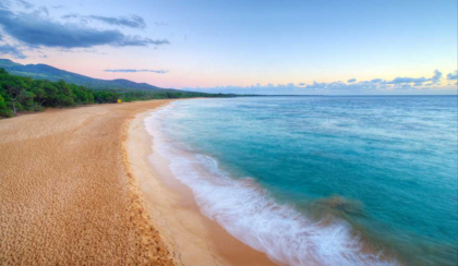 Picture of BIG BEACH - MAUI