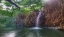 Picture of EASTWARD IN EDEN