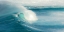 Picture of JAWS - MAUI