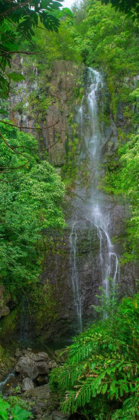 Picture of MAUI WATERFALL