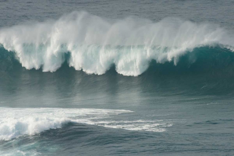 Picture of MAUI NORTH SHORE