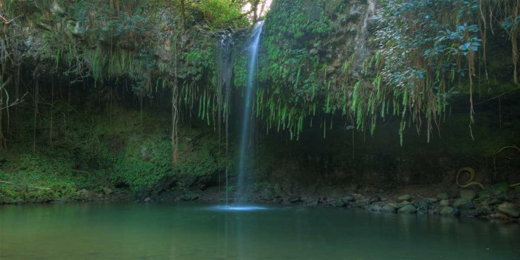 Picture of TWIN FALLS - MAUI