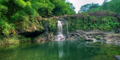 Picture of WATERFALL IN SOFT LIGHT