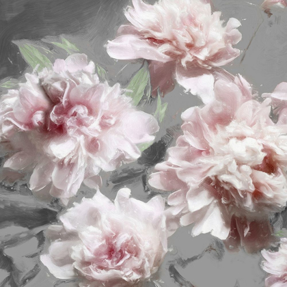 Picture of PEONIES ON GRAY I