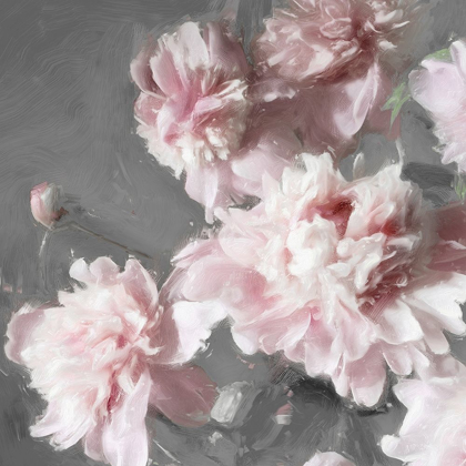 Picture of PEONIES ON GRAY II