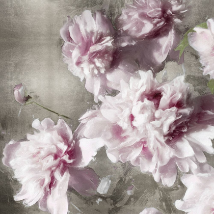 Picture of PEONIES ON SILVER II