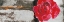 Picture of METALLIC POP FLOWER I