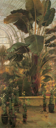 Picture of THE TROPICAL HOUSE-KEW GARD