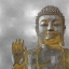 Picture of SILVER AND GOLD BUDDHA