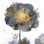 Picture of FLOWER BURST I