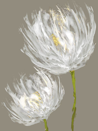 Picture of WHITE TULIPS II