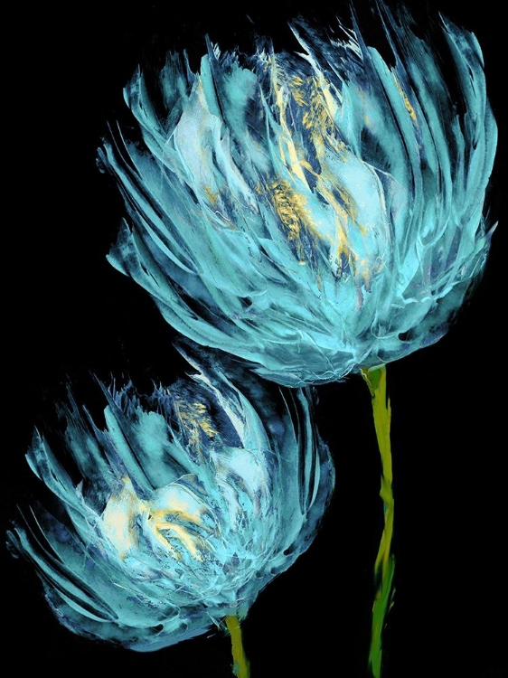 Picture of AQUA TULIPS II