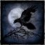 Picture of CROW