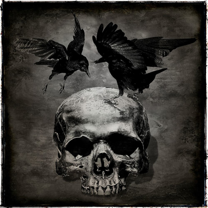 Picture of SKULL WITH CROWS