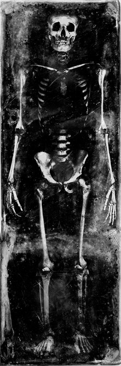 Picture of SKELETON I