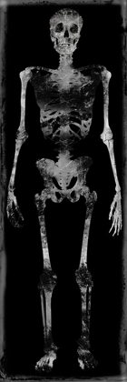 Picture of SKELETON III