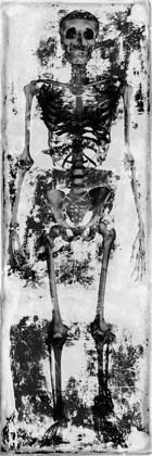 Picture of SKELETON IV