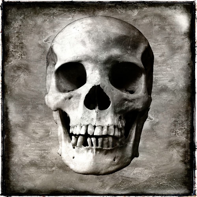 Picture of SKULL I