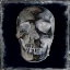Picture of SKULL II