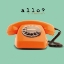 Picture of ALLO ?