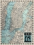Picture of NEW-YORK CITY MAP, 1889