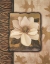 Picture of WHITE ORCHID