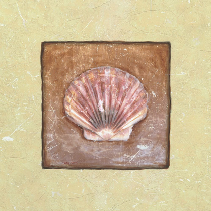Picture of SEA SHELL