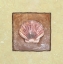 Picture of SEA SHELL