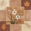 Picture of WHITE ORCHID