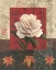 Picture of WHITE CHINESE ROSE