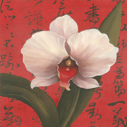 Picture of CHINESE ORCHID ON RED