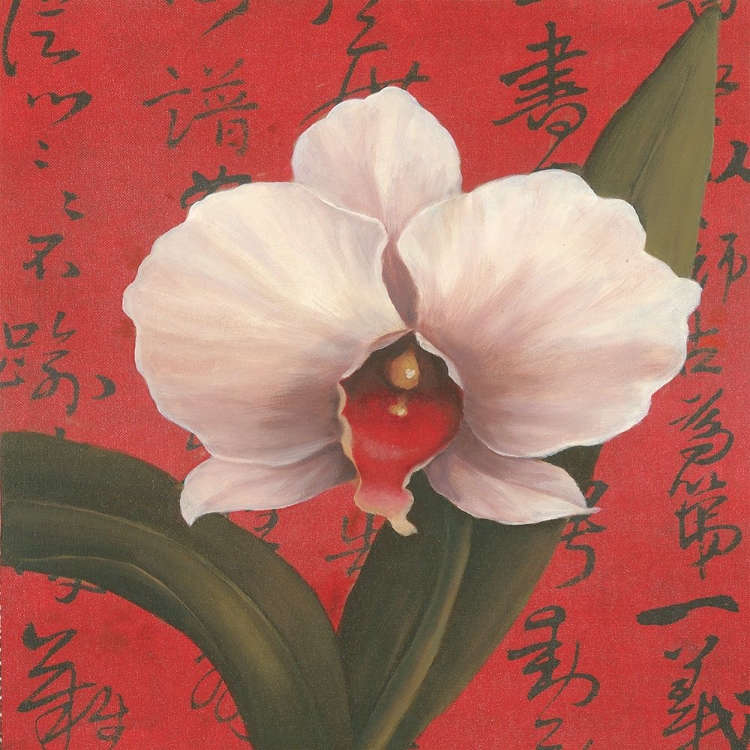 Picture of CHINESE ORCHID ON RED