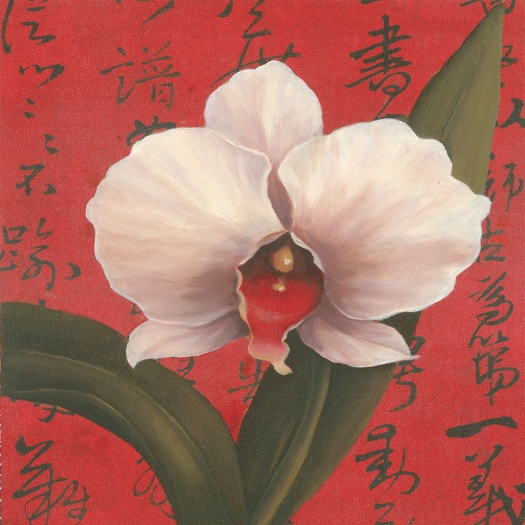 Picture of CHINESE ORCHID ON RED