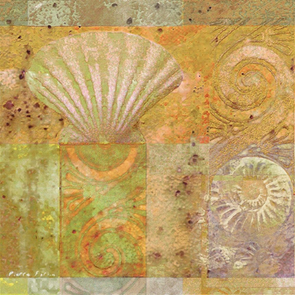 Picture of SEASHELL COLLAGE