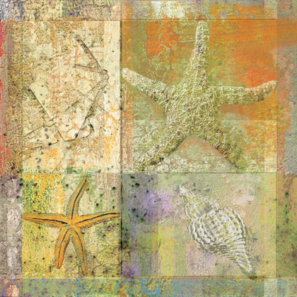 Picture of STARFISH COLLAGE