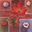 Picture of RED TULIP I