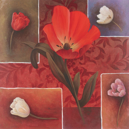 Picture of RED TULIP II