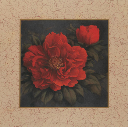 Picture of RED CARNATION WITH BORDER I