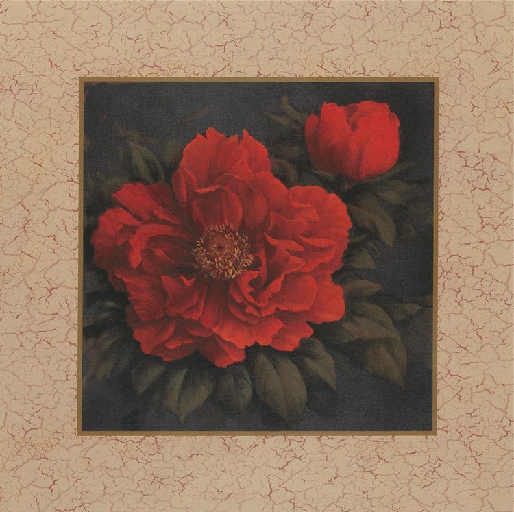 Picture of RED CARNATION WITH BORDER I